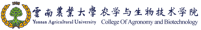 必威